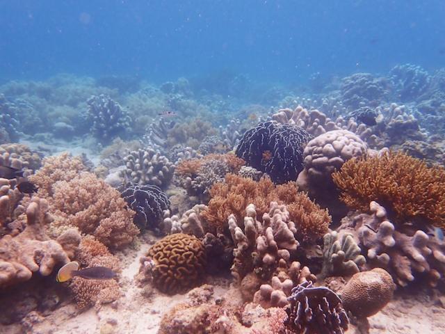 Nomad Divers Bangka Likupang Exterior photo